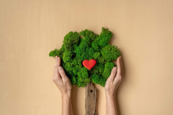 Les avantages environnementaux de chaque domaine (alimentation, élevage, etc.)
