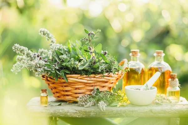 Quels sont les produits dérivés des plantes médicinales ?